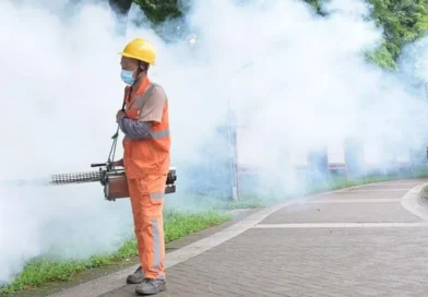 chikungunya virus